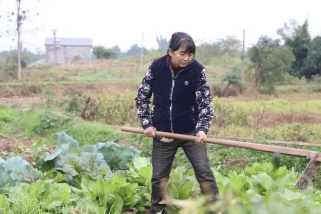 村大姐当“义母”16年抚养三侄儿成才z6尊龙网站为完成“托孤”誓言 农(图4)