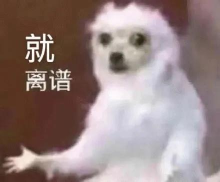 OS这次的更新让米粉炸了尊龙凯时·中国网站澎湃(图13)