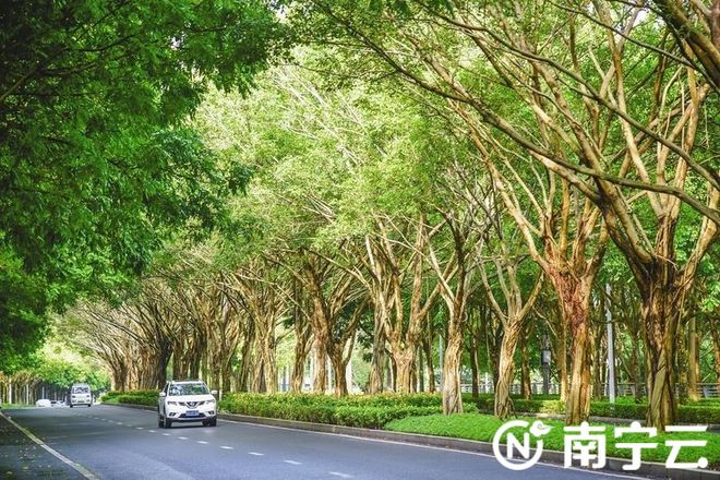 宁这条线路骑行竟可以“画蛇”→凯时尊龙人生就是博收藏！沿着南(图1)